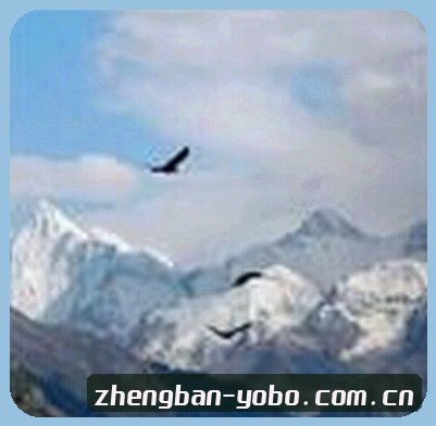 孙婷